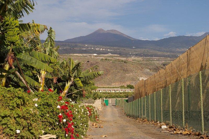 Alcalá Hotel Rural El Navio - Adults Only מראה חיצוני תמונה